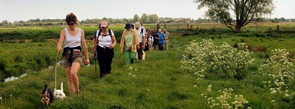 Walkers on the Broads