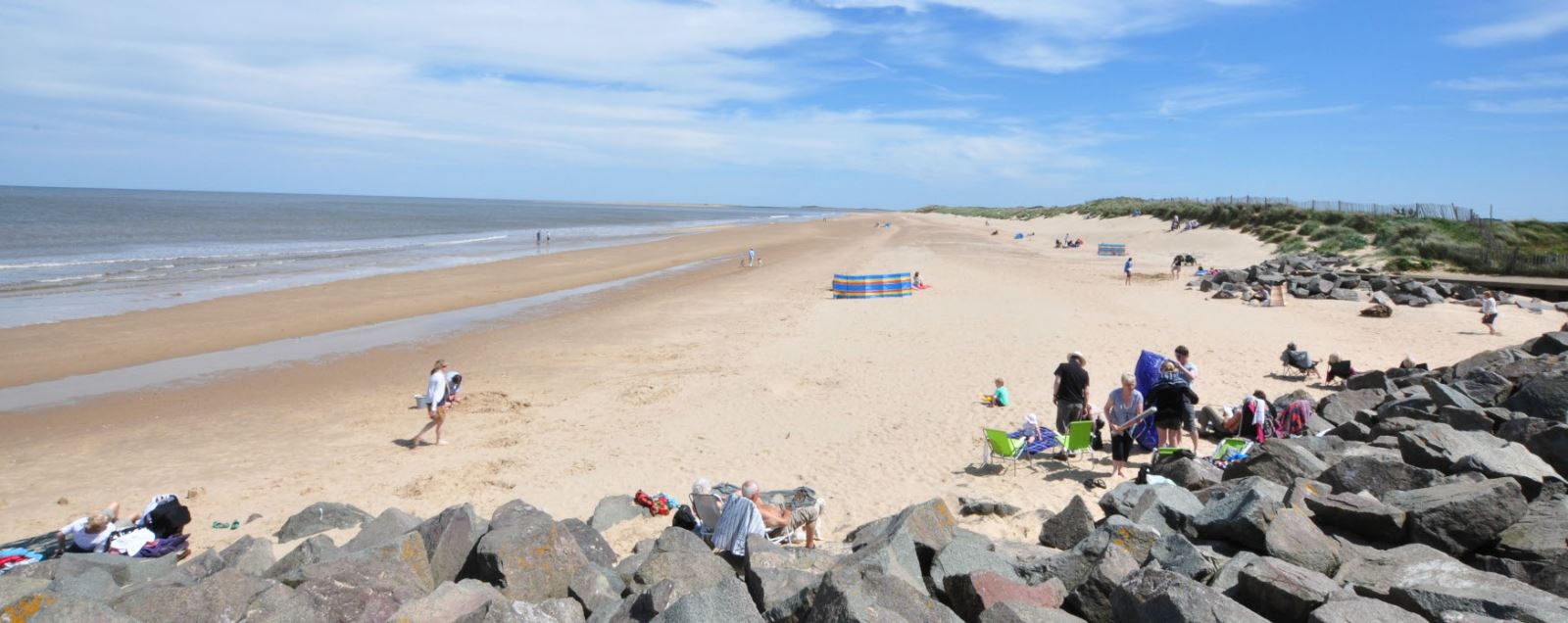 can dogs go on beaches in norfolk