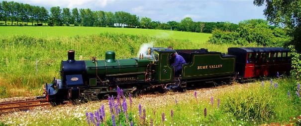 Train on the Bure Valley Railway line