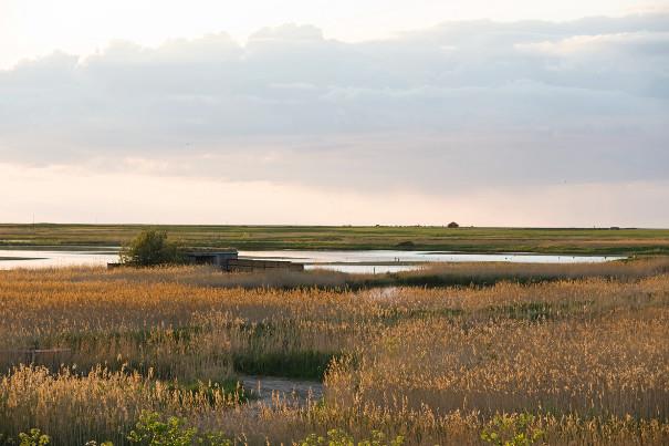 Cley Nature Reserve