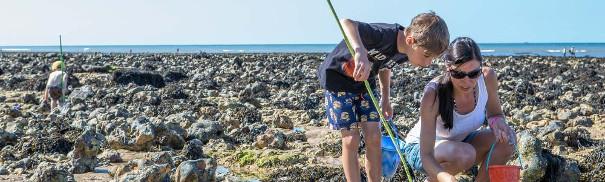 Rockpooling in North Norfolk