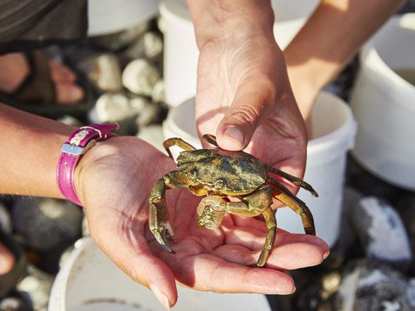 Crabbing