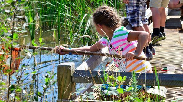 Children dyke dipping at Ranworth Broad