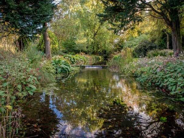 Waterfall at Gooderstone Water Gardens