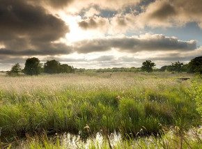 Hickling Broad