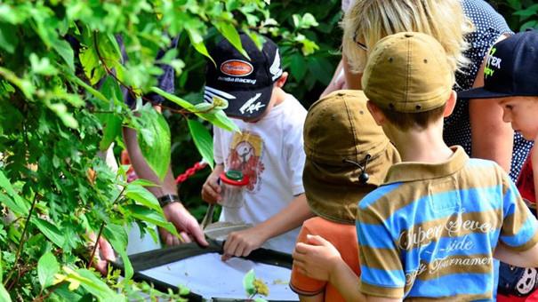 Children exploring on Hickling Broads