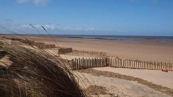 A view of the coast line at NWT Holmes Dunes