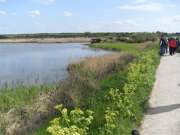 visitors birdwatching at RSPB Titchwell 