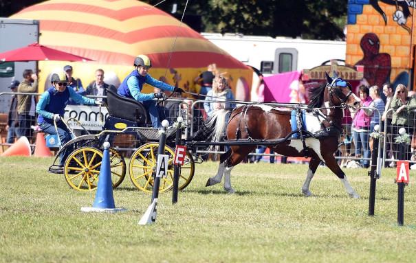 Sandringham Game and Country Fair