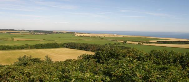 View from the gazebo at Sheringham Park