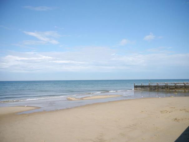 View of Walcott Beach