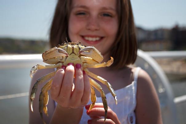 Child holding a crab at the crabbing championships
