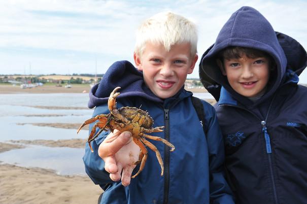 Children crabbing on the beach at Brancaster