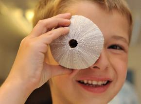 Child and fossil at Cromer Museum