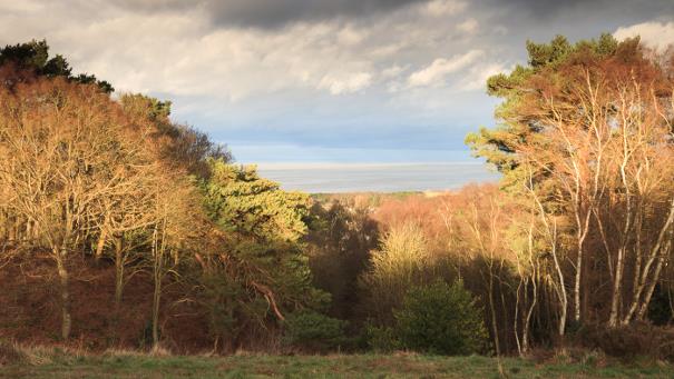 View of Cromer Ridge