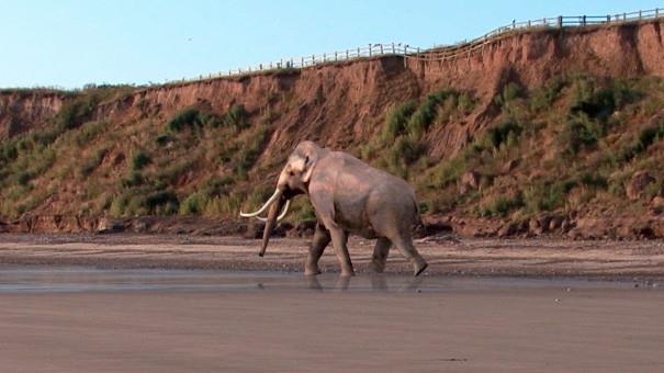 West Runton Mammoth