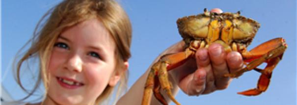 Young girl holding a crab