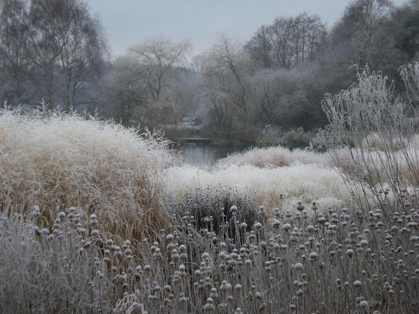 Pensthorpe in Winter