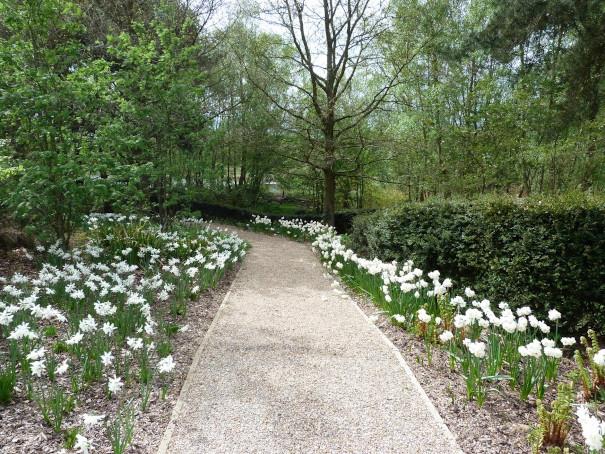 Pensthorpe Spring Flowers