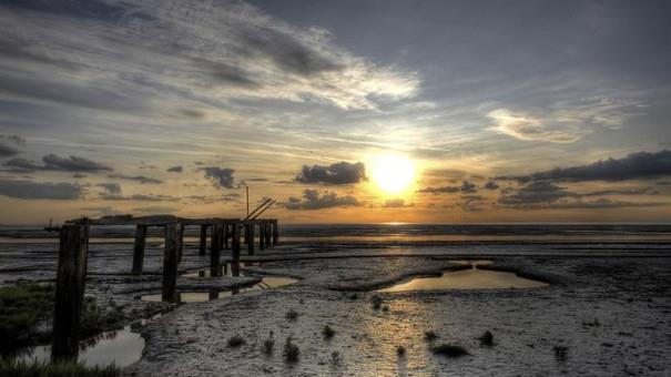 RSPB Snettisham