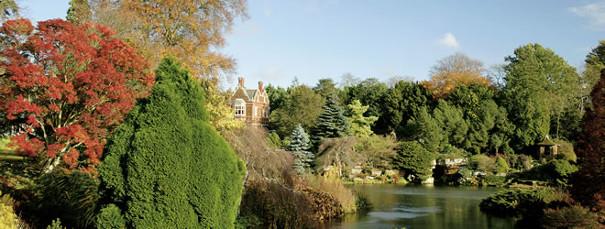 Sandringham Gardens