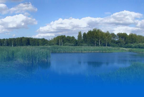 Sculthorpe Moor Nature Reserve