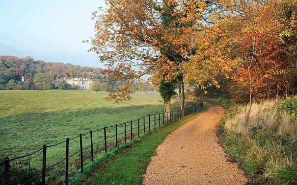 View of the trees at Sheringham Park in the autumn