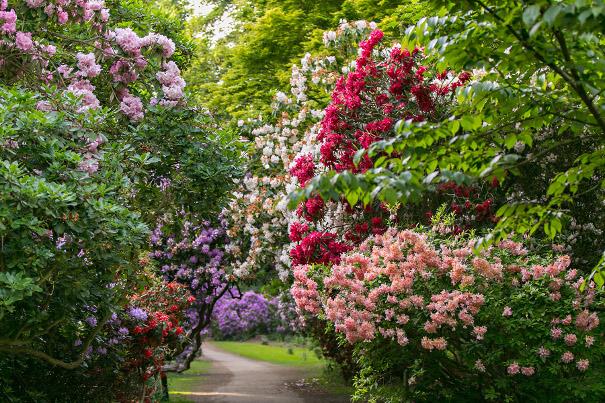 Sheringham Park