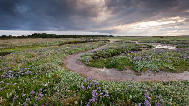 View of Stiffkey Salt Marshes